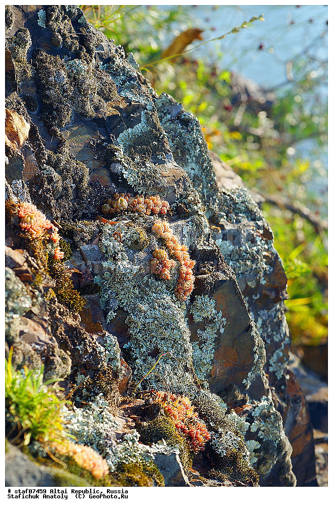  ����, ��, ����-�����, ���������� �����, ������ �����, ������