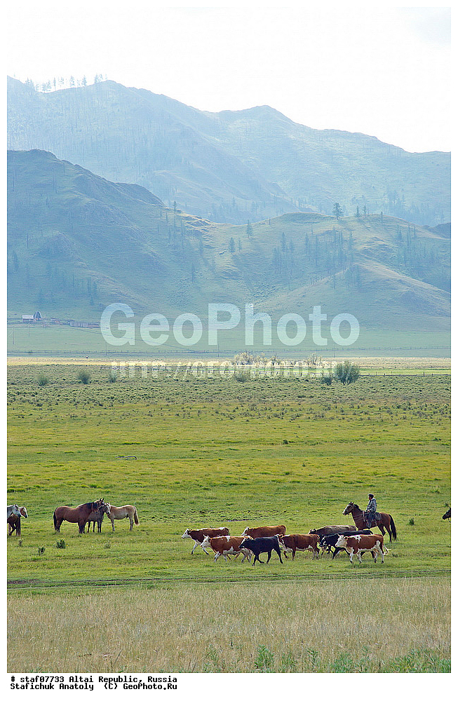  ����, ��, ����-�����, ���������� �����, ������ �����, ������