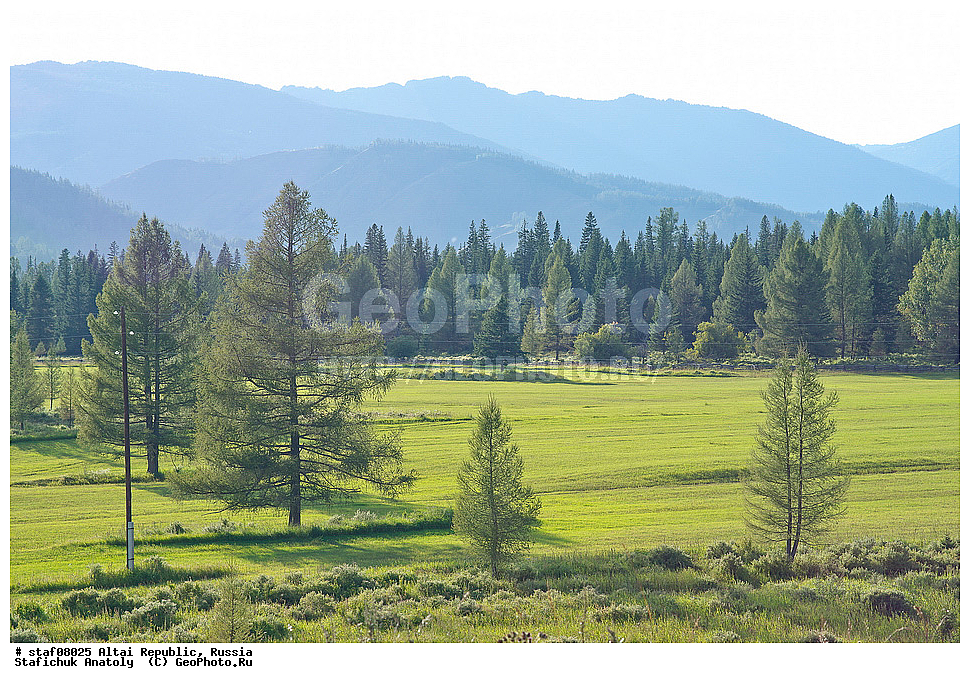  ����, ��, ����-�����, ���������� �����, ������ �����, ������