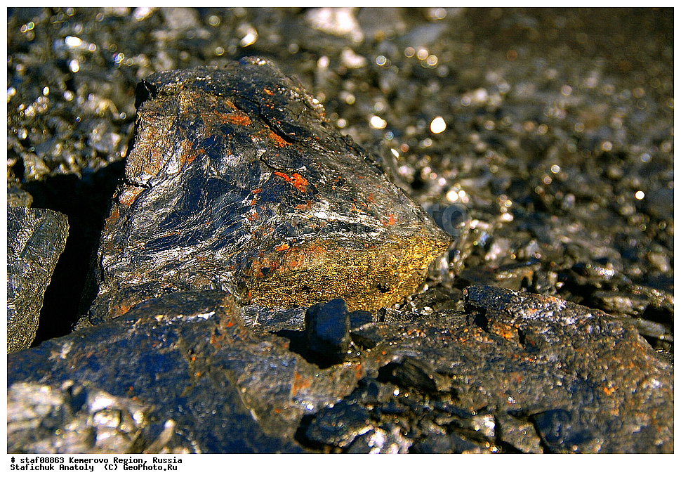 ������������, ������, �����, ������������, ����������� �������, ������