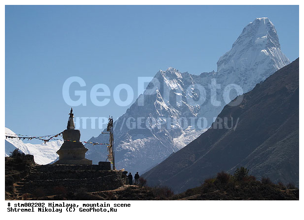 ��� ������, �������, ������ ������, ����