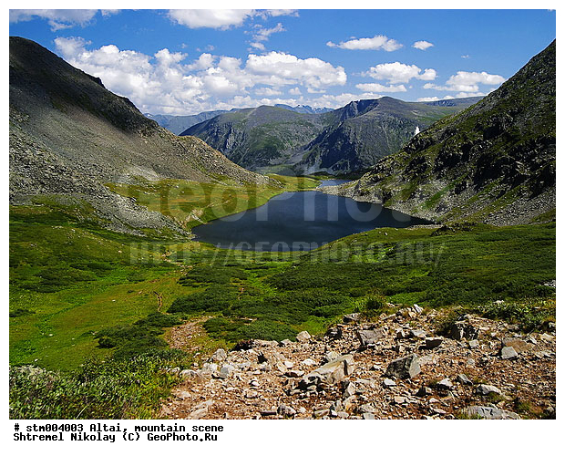 �����, ������ ������, ����