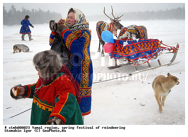 ��� ���������, ������������, �����, ��������, ������������, ��������, ���������, �������� �����, ���������