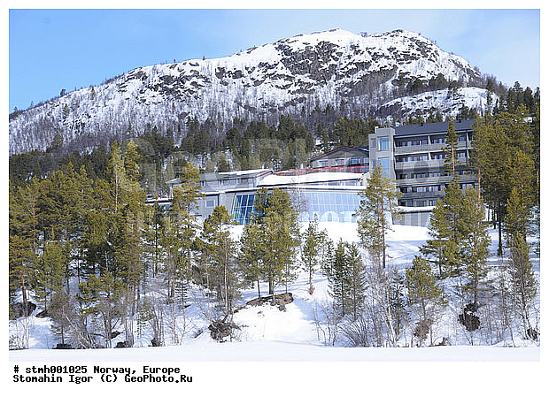 �����������, ��������, �������