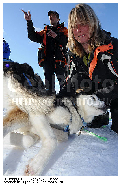 �����������, ��������, �������, �������, ��������, ��������