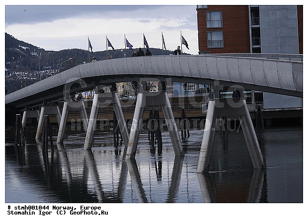 �����������, ��������, �����, ���������