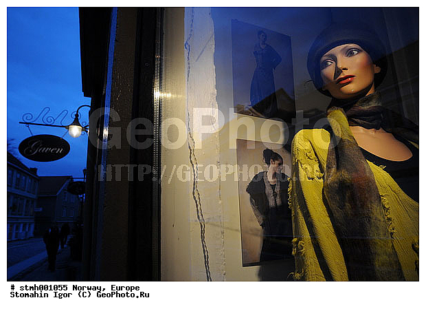 �����������, ��������, �����, ���������