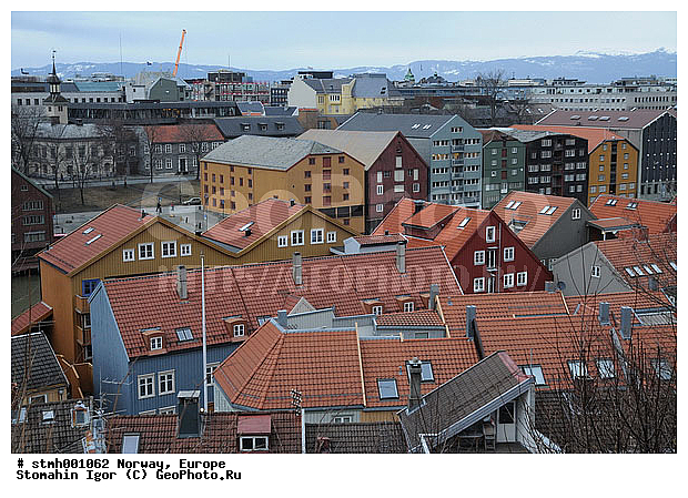 �����������, ��������, �����, ���������