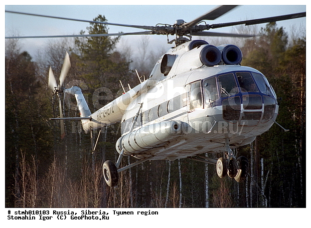 ������, ��������� �������, ��������, ���, �����������, �����, ����