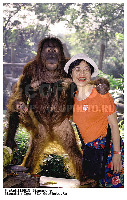 ���������, ����, ��������, �����, ���������, �������