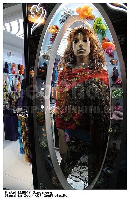 ���������, ����, ��������, �����, ���������, �������