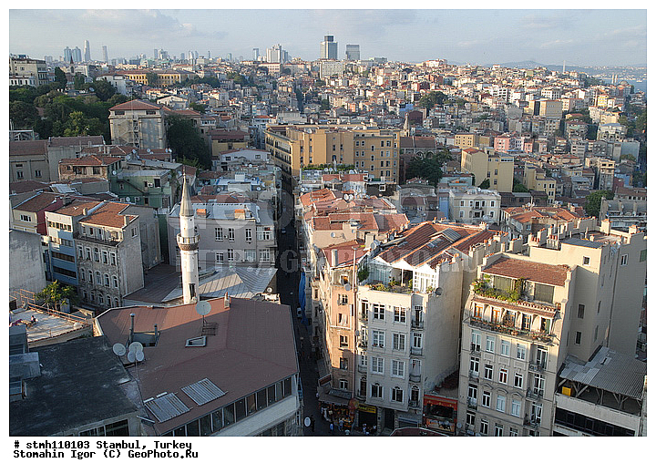 ���, �������, ��������, ��������, �����, ������