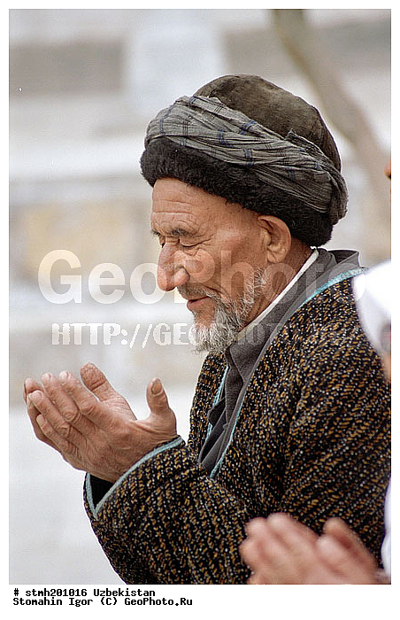 ���������, �����, ����������