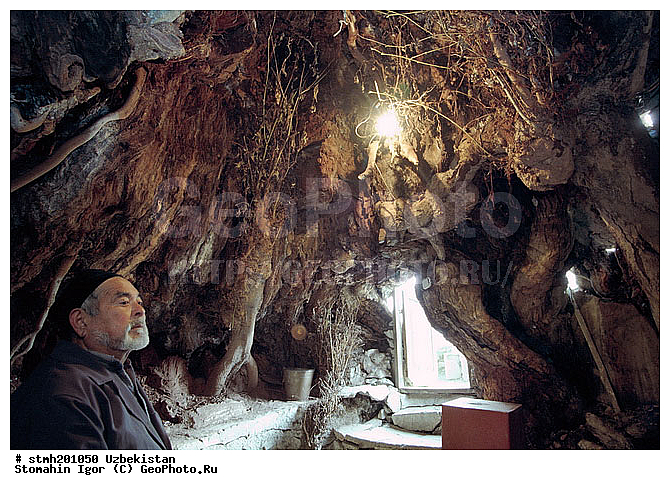 ������, ��������, �������, ���������, ��������, ���, �����, ����������