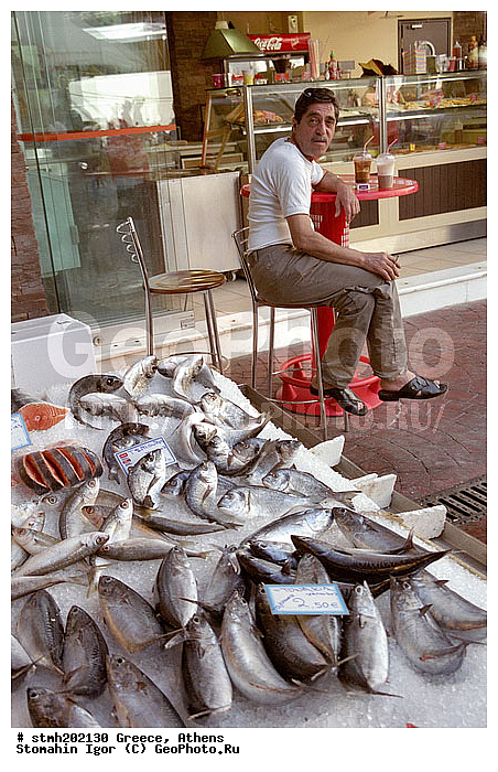 �����,  ������, �������, �������, ����,  ����, ��������, ��������, ����