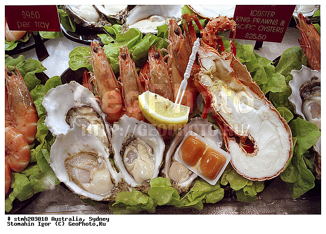 ������, �����, ������, ������,  ��������, �, ���������, ������, �����