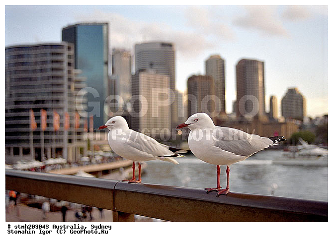 ������, �����, ����������, ����������