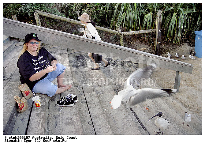 ����, ����, ��������,  �������, �����