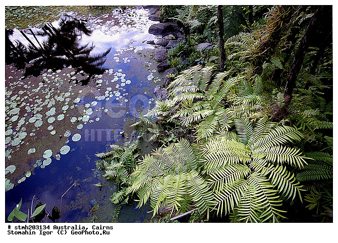 �����, ����������, �����������, ����