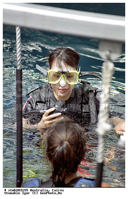 �����, ��������, ����������, ��������