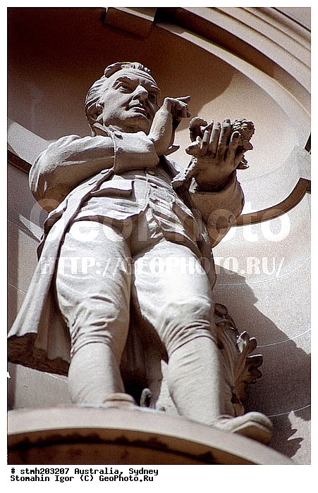 ������, ���������, ����������