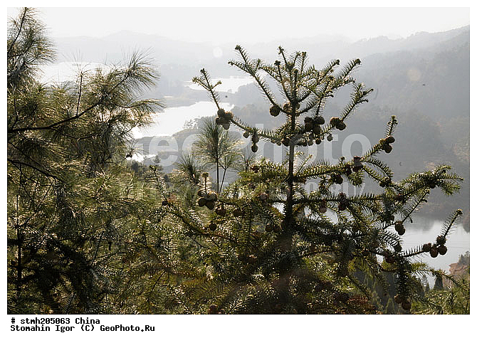 ���,  ���������, �������,  �������, , �����, ������, ��������, ������:, ���, �����