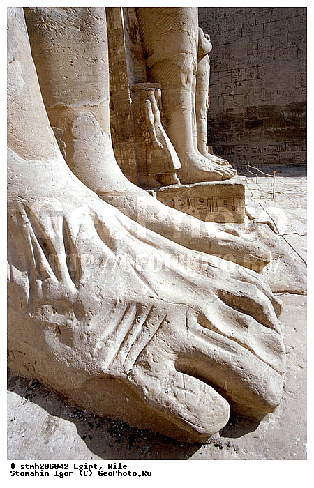 �����, ����, ������, ������������, ������, �����, �����, �������, ����