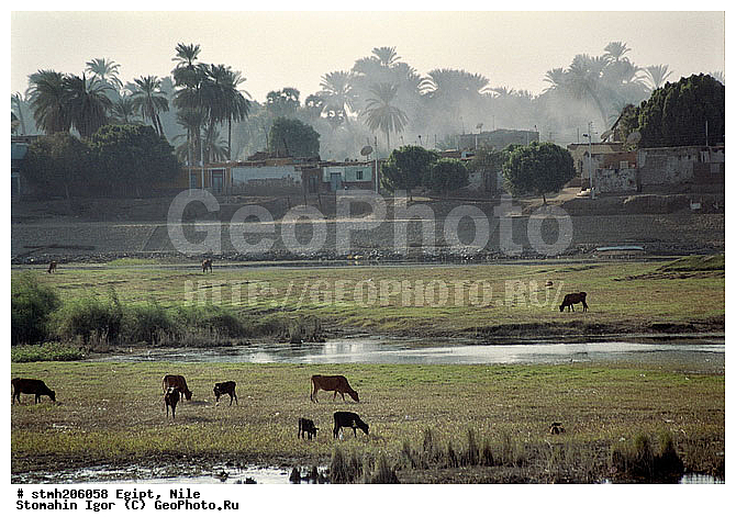 �����, ����, ���, �����, ���������, �������,  �������, ����