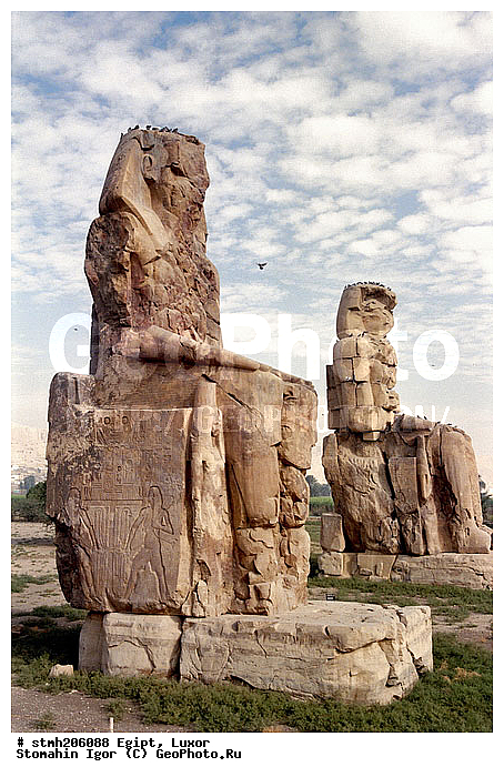 �����, �, ���������, �������, �������, �������, , ���������, ������, �������, ����������, ��������