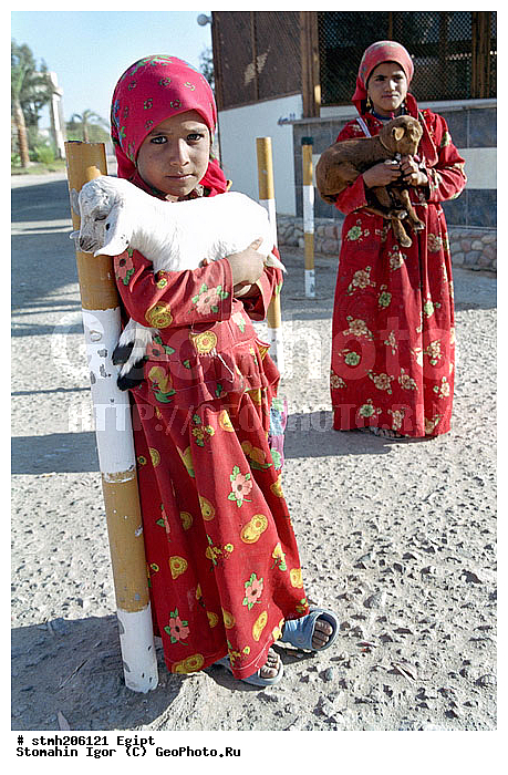 ������, ���������������, ��������, �����