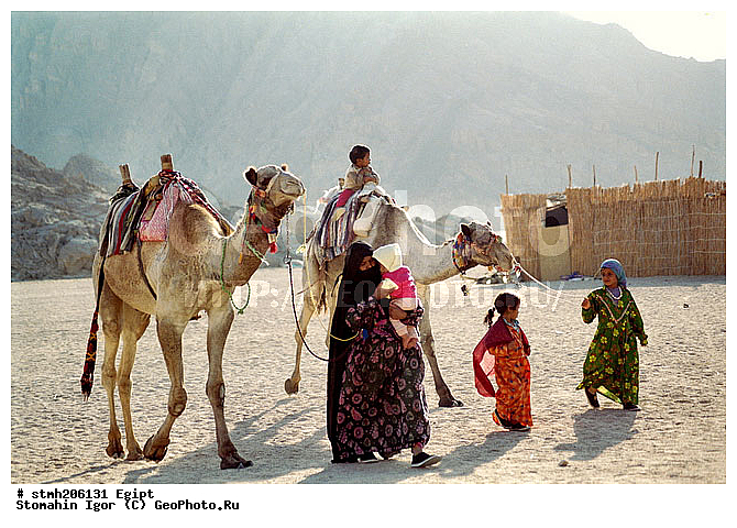 ������, �������, ����������