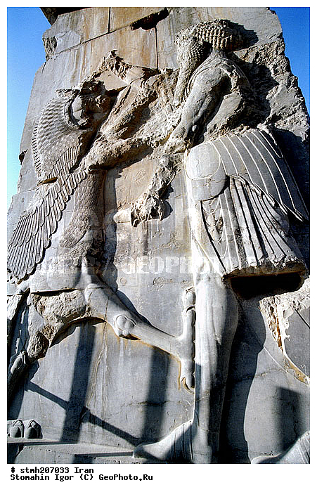 ��������, �������, ������, �����, �������, �����������, ����