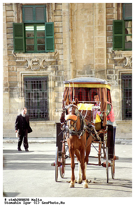 ������, �������