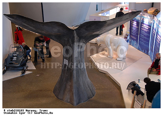 ��������, ������