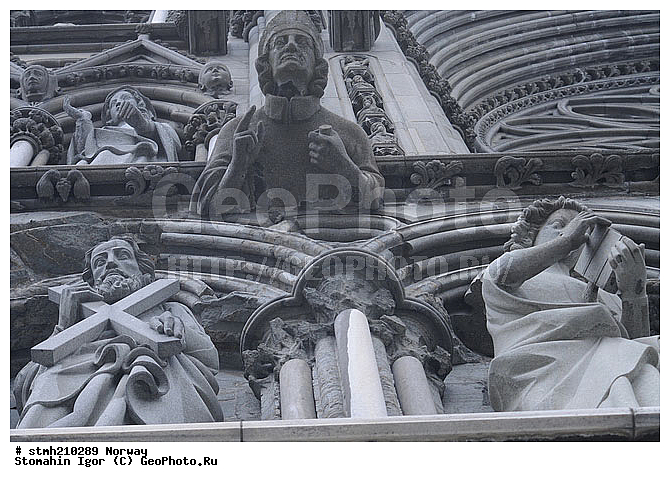 �����������, ��������, �����, ���������, �����, �������������, ������