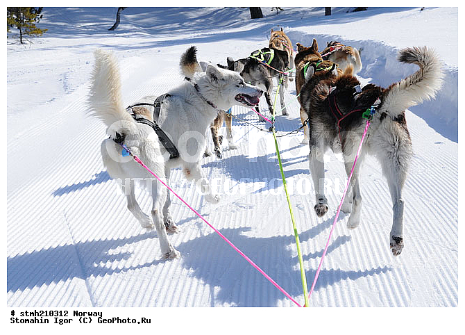 �����������, ��������, �������, �������, ��������, ��������