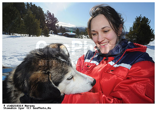 �����������, ��������, �������, �������, ��������, ��������