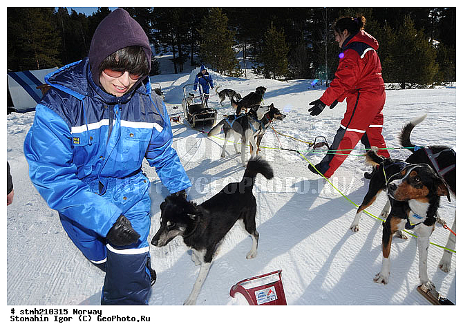 �����������, ��������, �������, �������, ��������, ��������