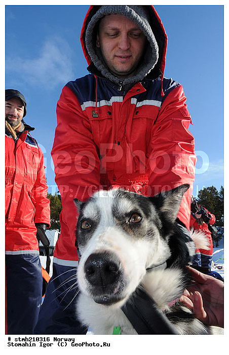 �����������, ��������, �������, �������, ��������, ��������