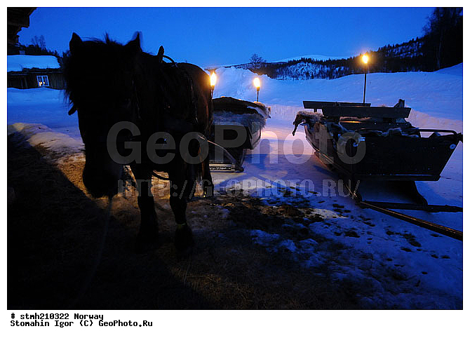 �����������, ��������, �������