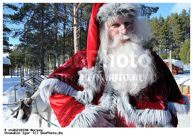 �����������, ��������, �������, ����������, ���, �����, , ���������