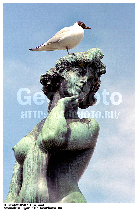 ���������, ���������