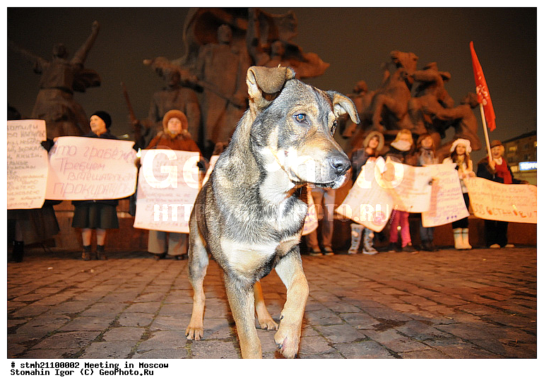 ������, ������