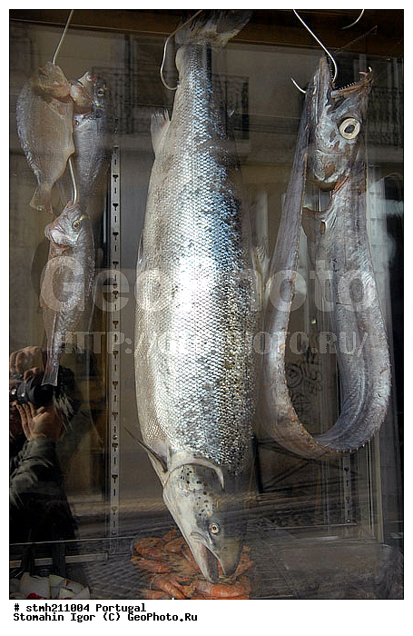 ����������,  ��������, ������:, �������, �������, ��������