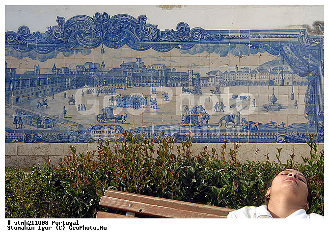 ����������,  ��������, ������:, �������������, �������, , ��������