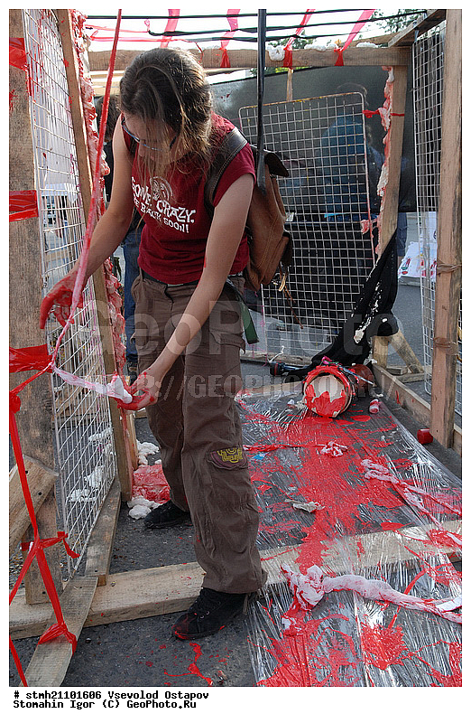 �������� �������, �������, �����