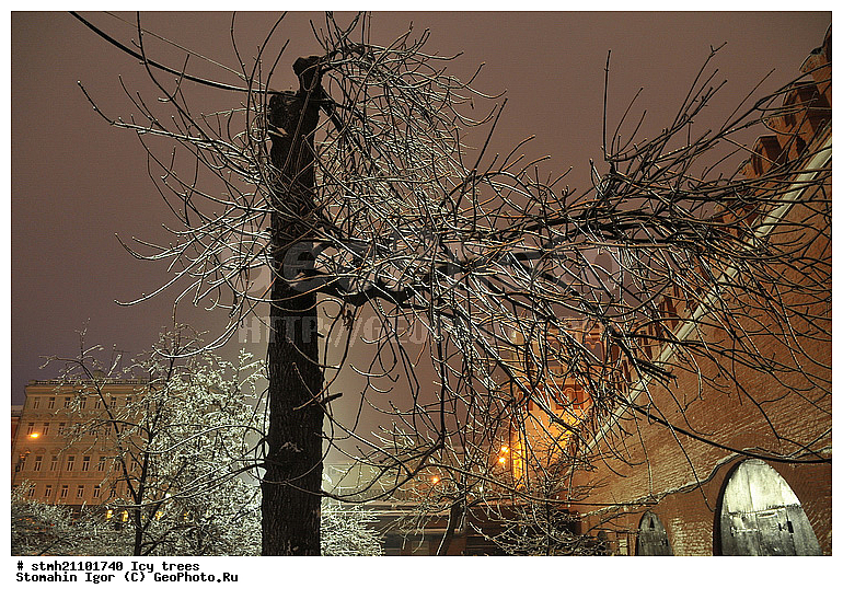 ������������ �������