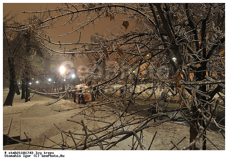 ������������ �������