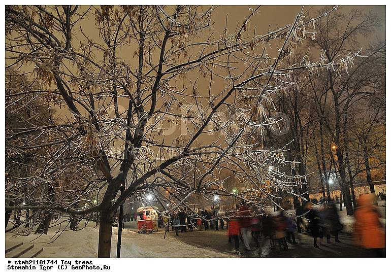 ������������ �������