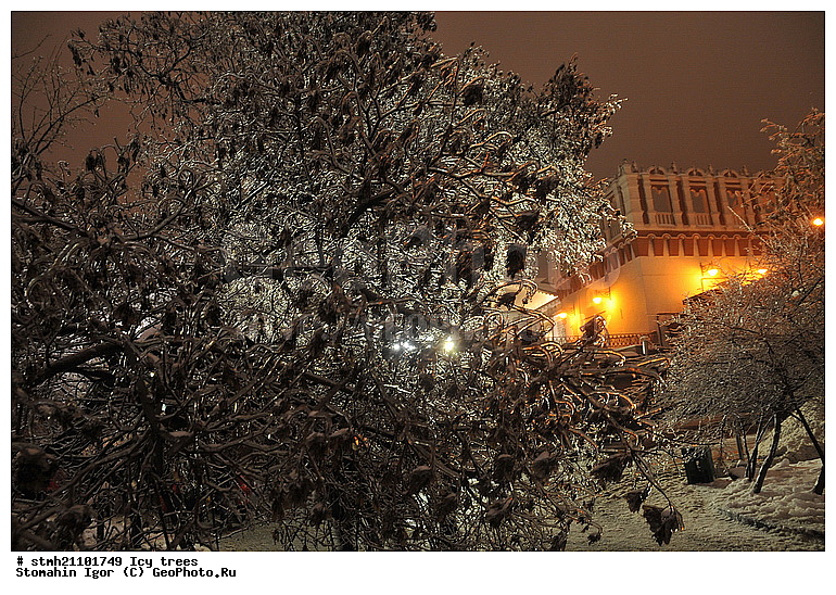 ������������ �������